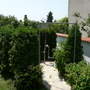 der Garten